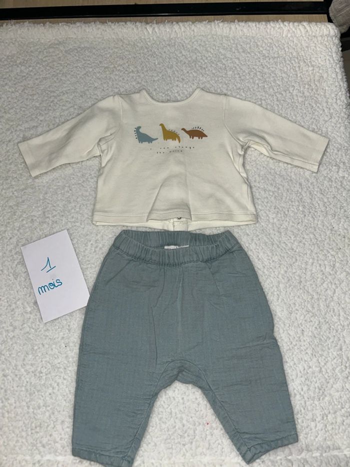Ensemble bébé dinosaures