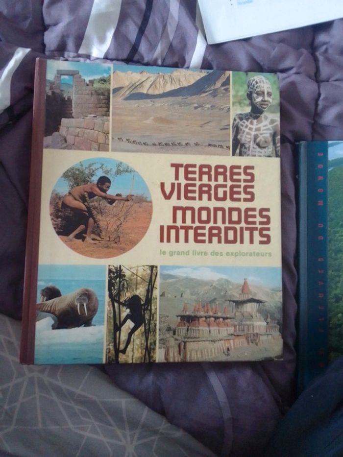 Grand livre - photo numéro 2