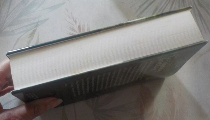 La châtelaine de Mallaig de Diane Lacombe Ed. France Loisirs - photo numéro 4