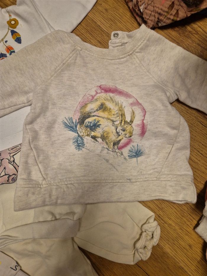 Lot 7 sweat fille 9 mois - photo numéro 2