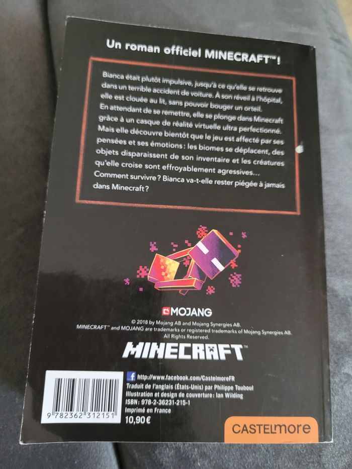 roman minecraft le choc (6e) - photo numéro 5