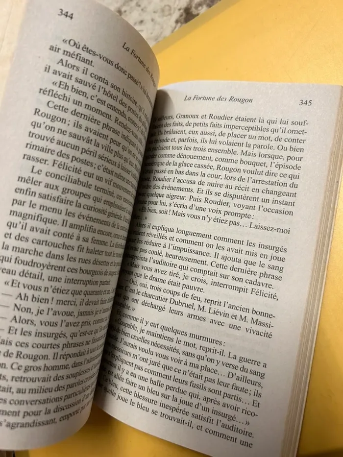 La fortune des rougon Zola - photo numéro 3