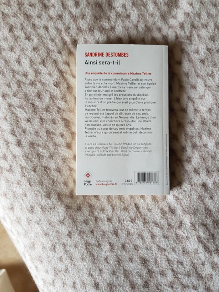 Ainsi sera-t-il - Sandrine Destombes - photo numéro 2