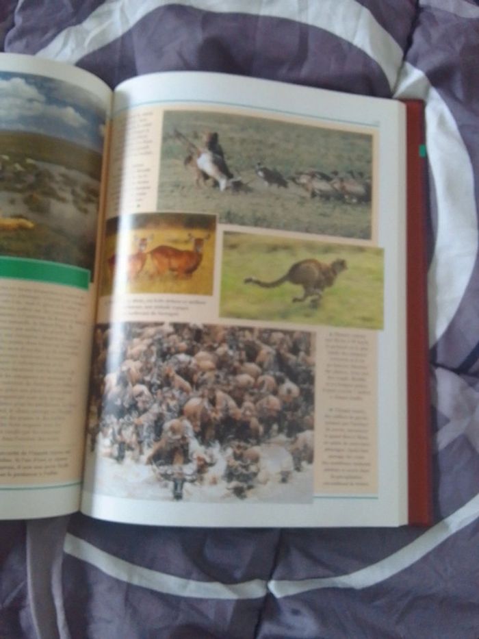 Livre encyclopédie - photo numéro 2
