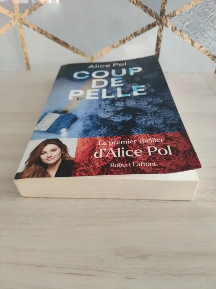 Livre grand format coup de pelle Alice Pol thriller - photo numéro 2