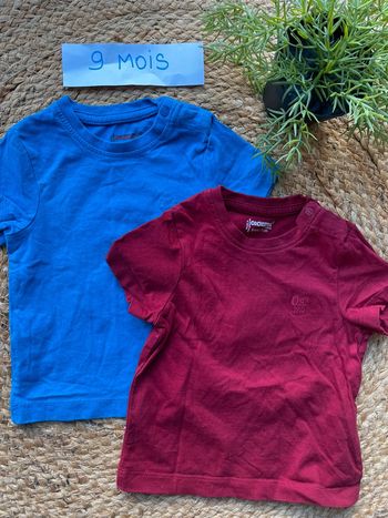 Lot 2 tee-shirts 9 mois