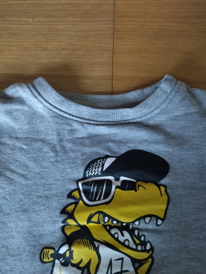 Sweat dinosaures - photo numéro 6