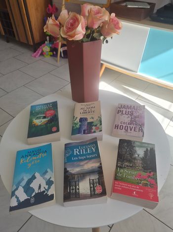 Divers livres : Maud Ankaoua, Mélissa Da Costa, Riley, Colleen Hoover, Marie-Bernadette Dupuy