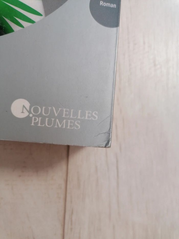 Tome 1 Roman les Ailes d'émeraude - photo numéro 2