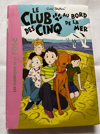 Livre Bibliothèque Rose Le Club des Cinq au bord de la mer TBE