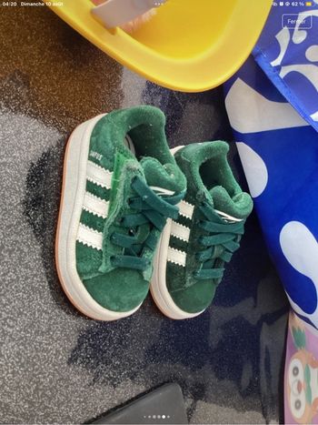 Campus Adidas Vert