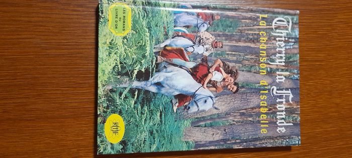 Livre Thierry la Fronde