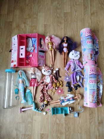 Lot barbie avec accessoires 