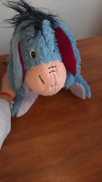 Bourriquet disneyland paris