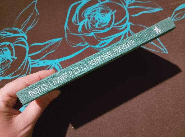 Indiana Jones - photo numéro 4