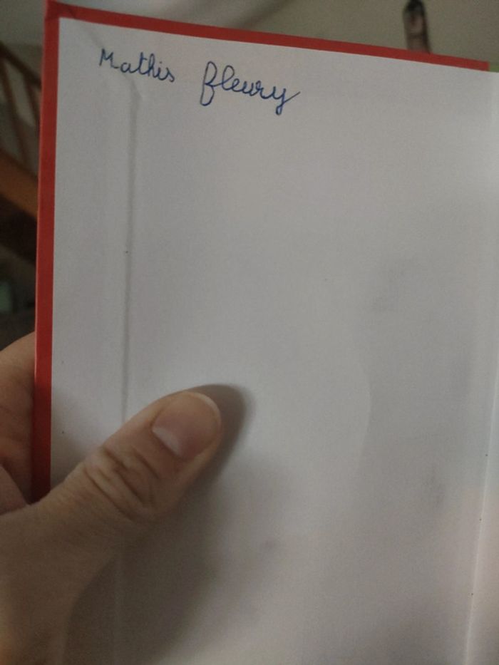 Livre pokémon N°1 - photo numéro 3