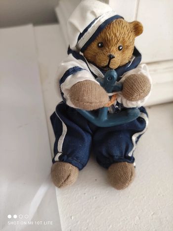 Petit ours marin