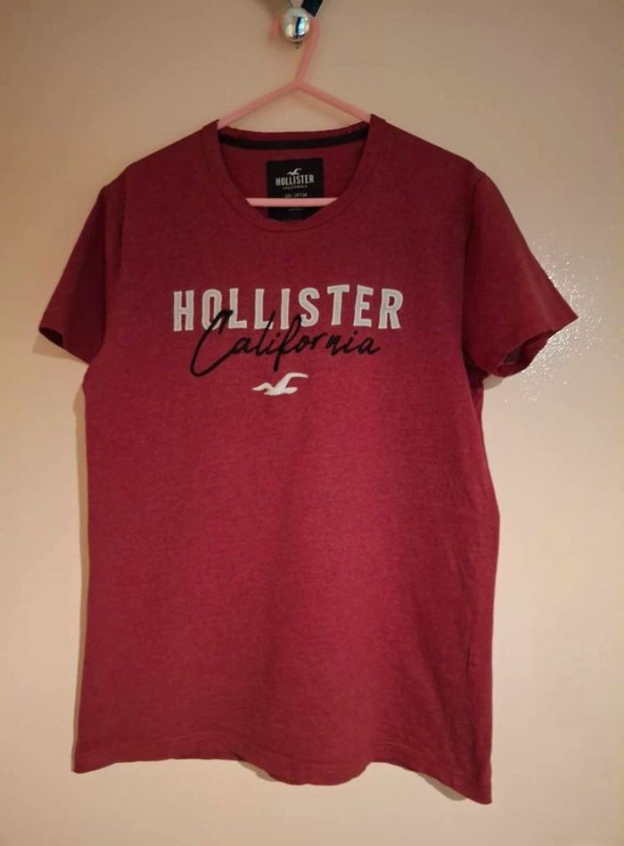 tee shirt hollister ts - photo numéro 3