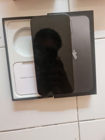 iPhone 13 pro max