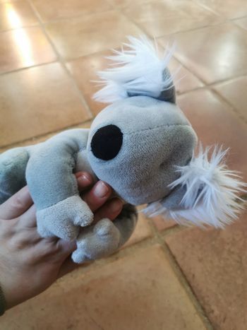 Peluche koala taille 20 cm Maisons du Monde