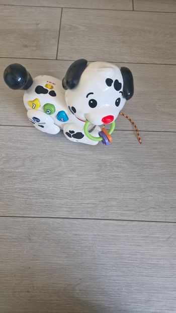 Dalmatien à tirer (sons et lumiere)
