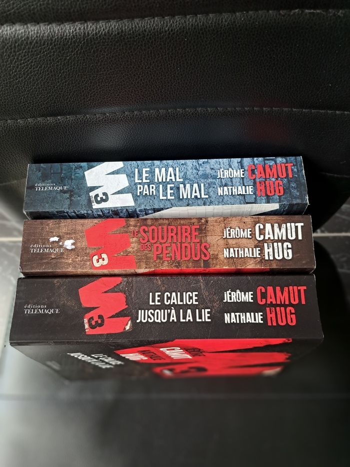 Trilogie W3 - photo numéro 3