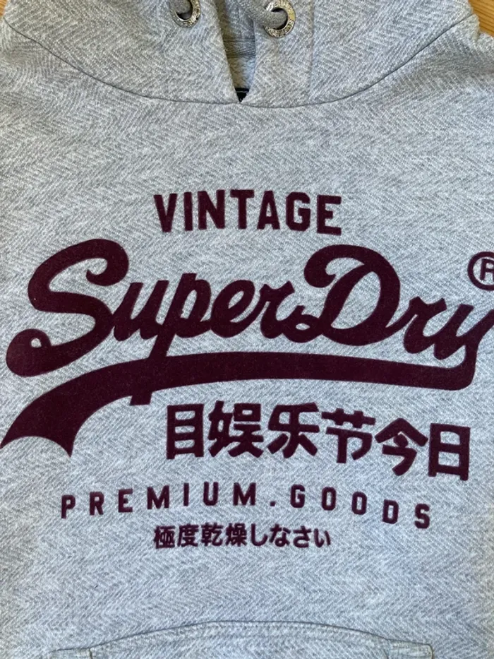 Pull à capuche Superdry - photo numéro 2