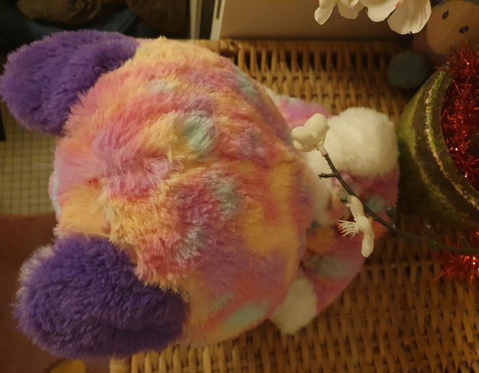 🌸Rainbow Chiot bobo VTech - photo numéro 3