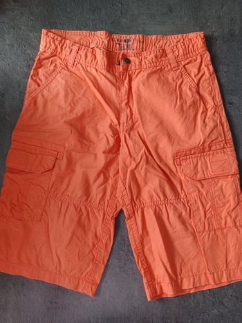 Bermuda sergent major