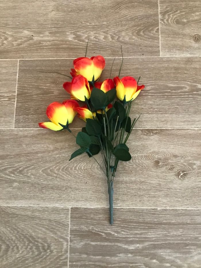 Fleurs - photo numéro 1