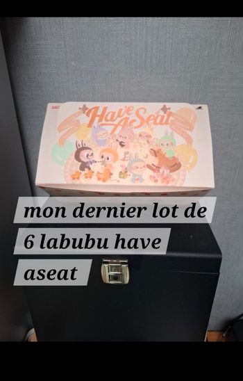 Box de 6 labubu have aseat