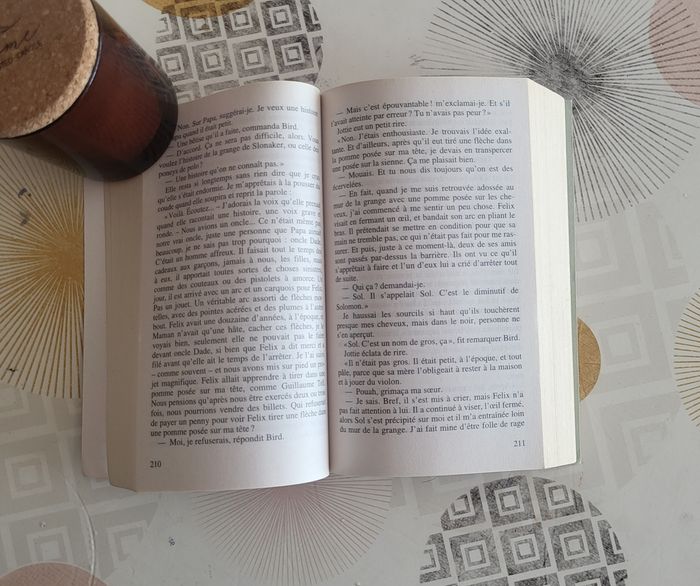 Le secret de la manufacture de chaussettes inusables Par Annie Barrows - photo numéro 5