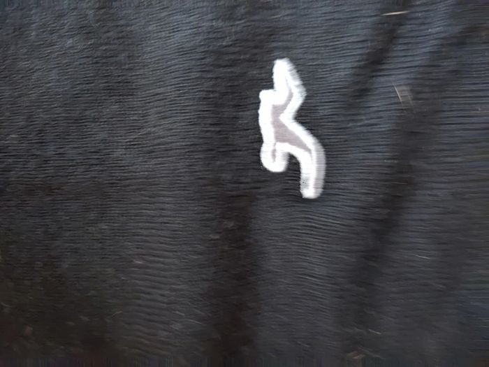 Pull hollister - photo numéro 2