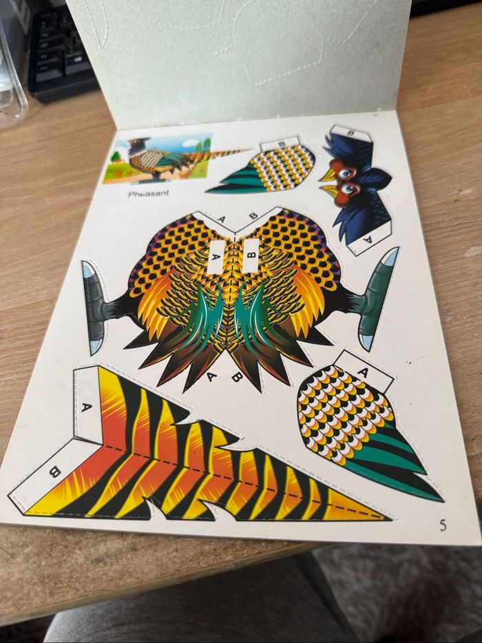 Stereoscopic handwork flyers - photo numéro 2