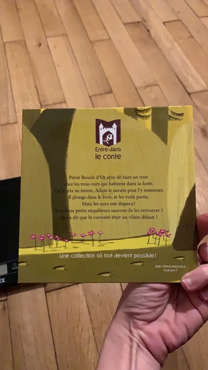 Livre boucle d’or mène l’enquête - photo numéro 2