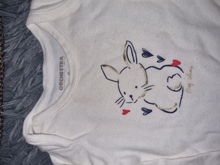 Lot 5 bodies manches longues 6mois - photo numéro 5