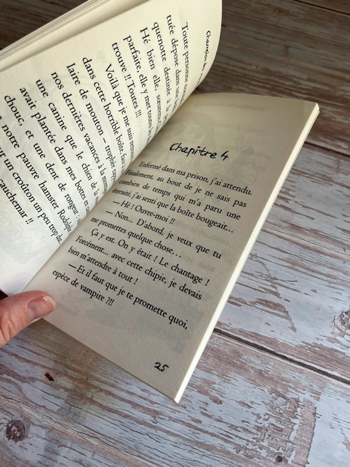 Champion des moucherons - photo numéro 4