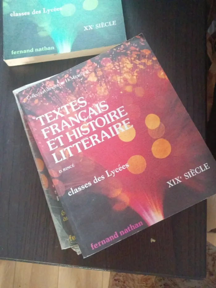 Textes français et histoires littéraires lycée - photo numéro 2