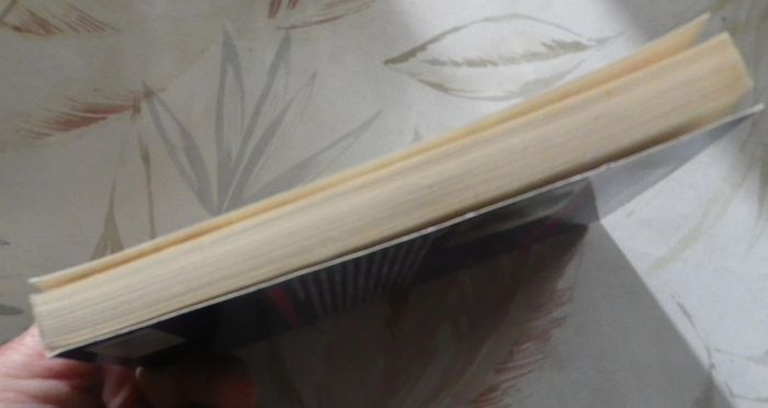 Le pacte de Kannlor T II Les Chevaliers de Lumière de Jimmy Guieu Ed. Fleuve Noir - photo numéro 4