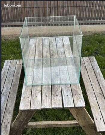 Aquarium vide 