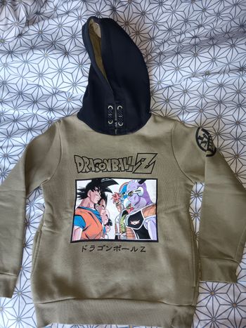 Sweat Dragon Ball Z en 12 ans