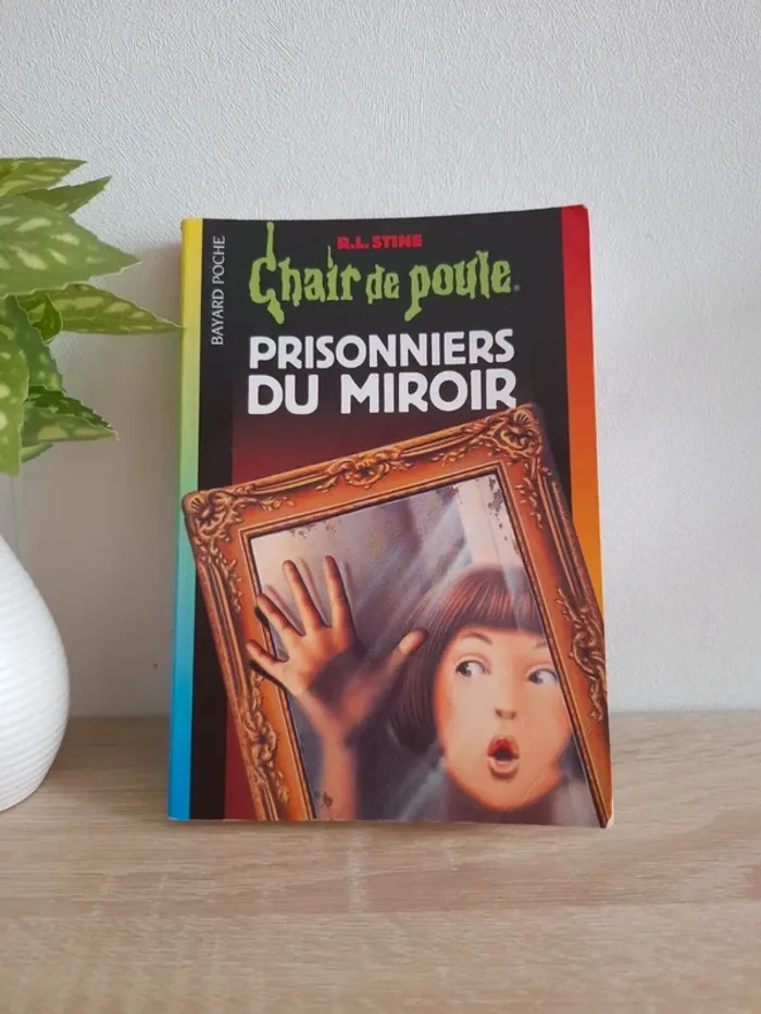 Livre / Chair de poule : Prisonnier du miroir