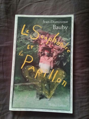 Livre Le scaphandre et le papillon