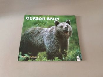 Ourson brun Staffan widstrand
