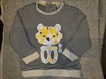 Pull Tigre
