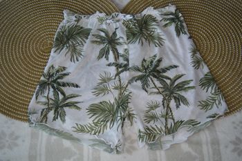 short blanc palmier  10 ans