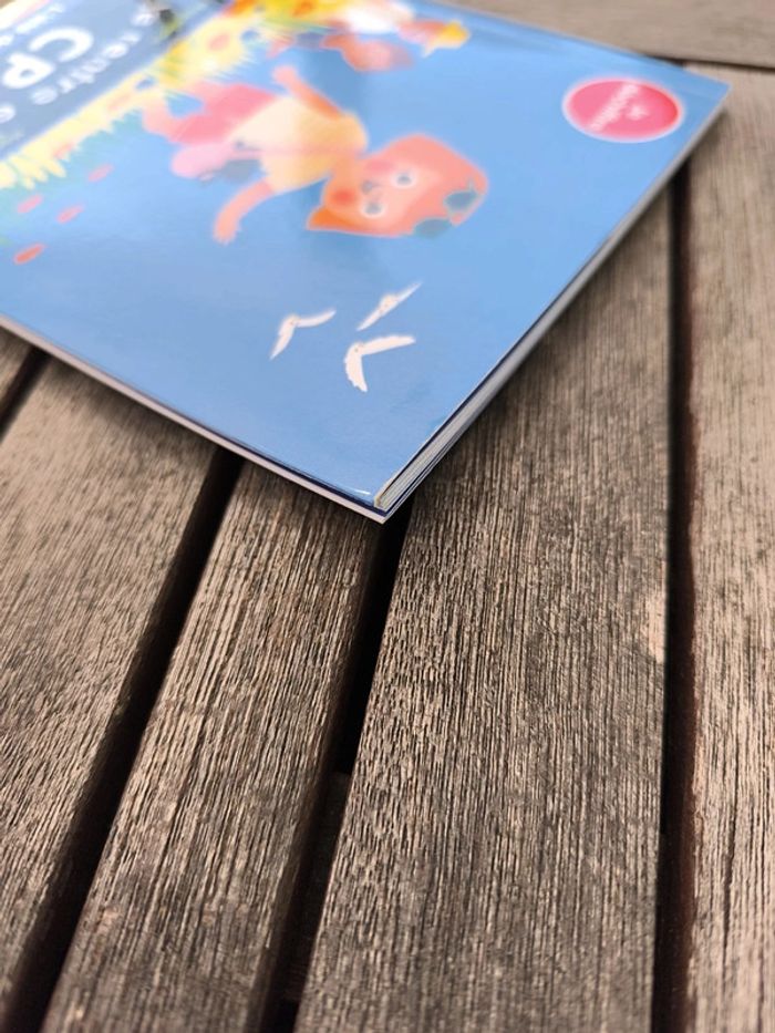 Livre cp - photo numéro 4