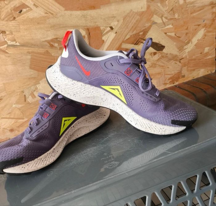 Nike pegasus