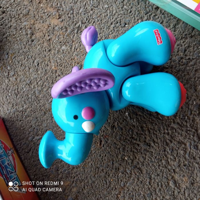 Éléphant