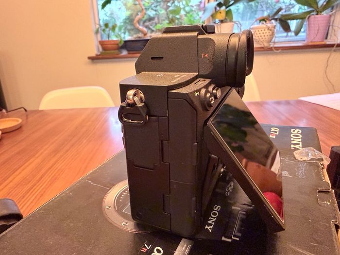 Sony alpha A7R IV - photo numéro 3